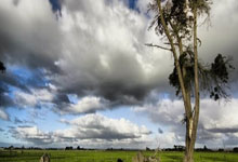 [中超]五球打穿薄弱防线 海港大胜国安.